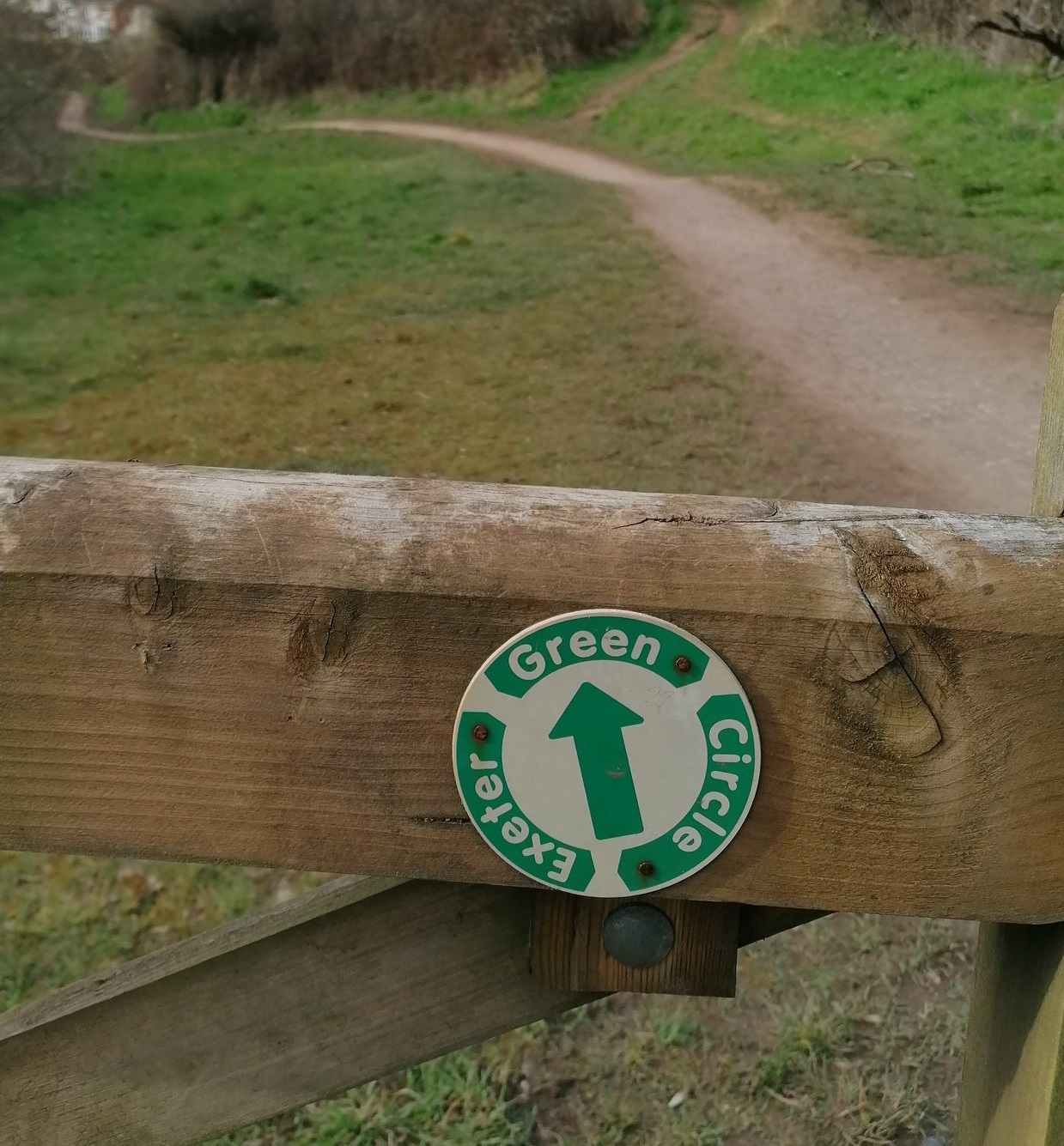 How Exeter is Leading the Way on Climate Action The Exeter Daily